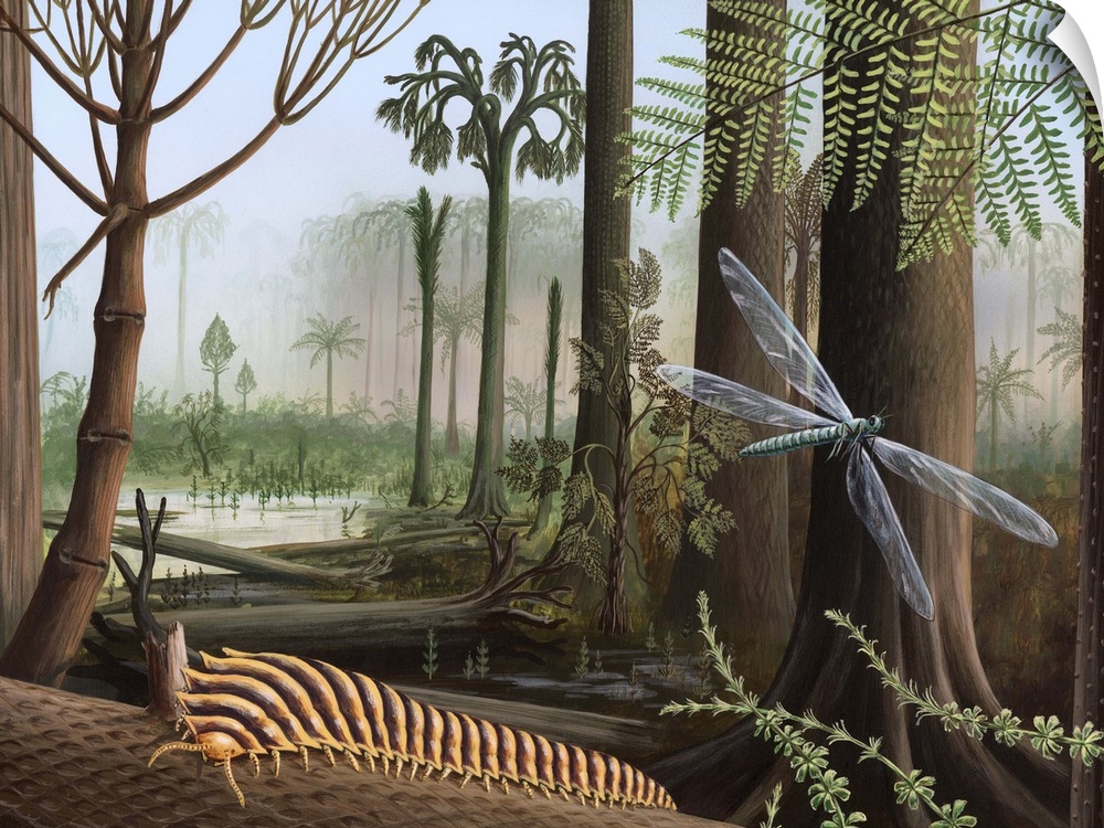 Carboniferous insects. Artwork of a millipede (Arthropleura) and a dragonfly (Meganeura) in the forests of the Carbonifero...