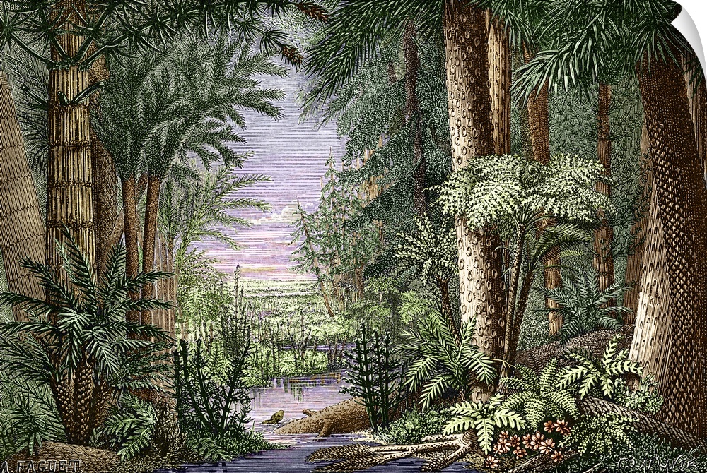 Carboniferous landscape. Historical artwork from 1868 showing flora from the Carboniferous period (340-280 million years a...