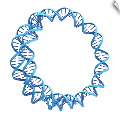 Circular DNA Molecule, Artwork