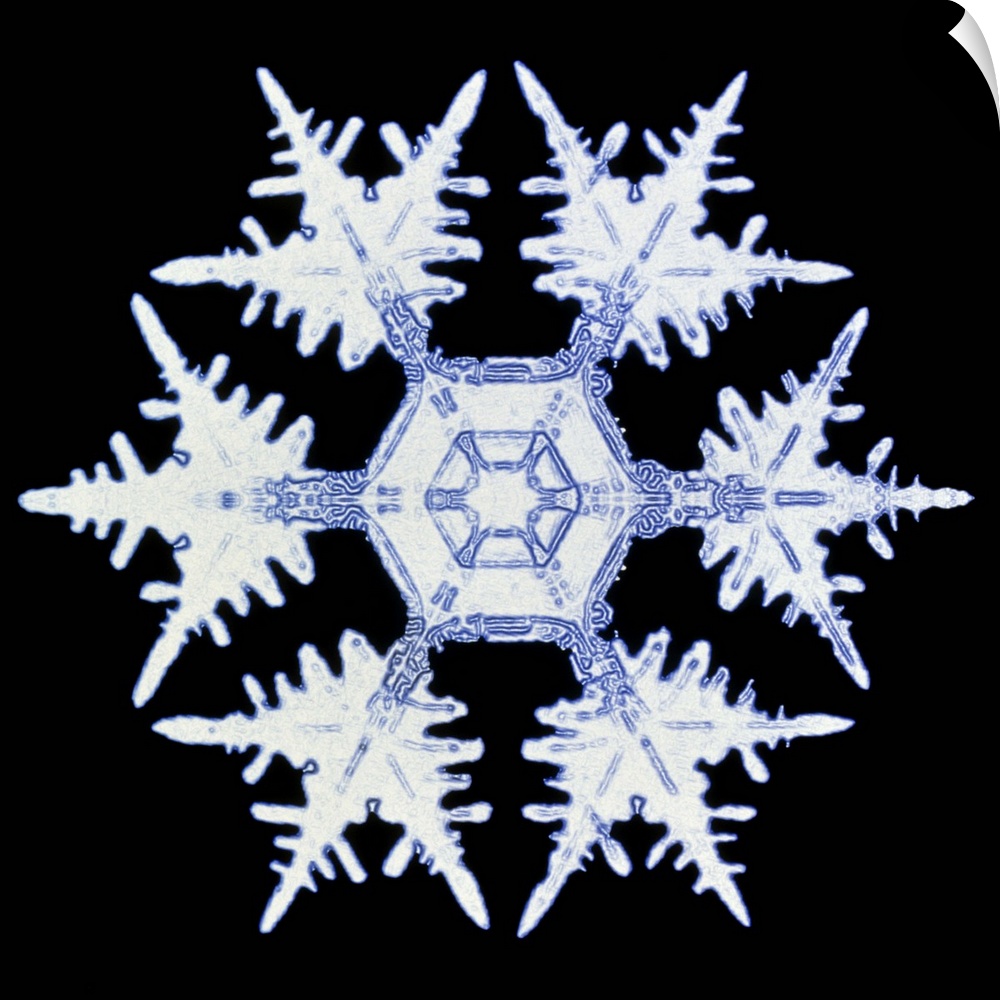 Snowflake. Computer-enhanced image of a snow crystal. Snowflakes show a typical hexagonal symmetry (as seen here) if the c...
