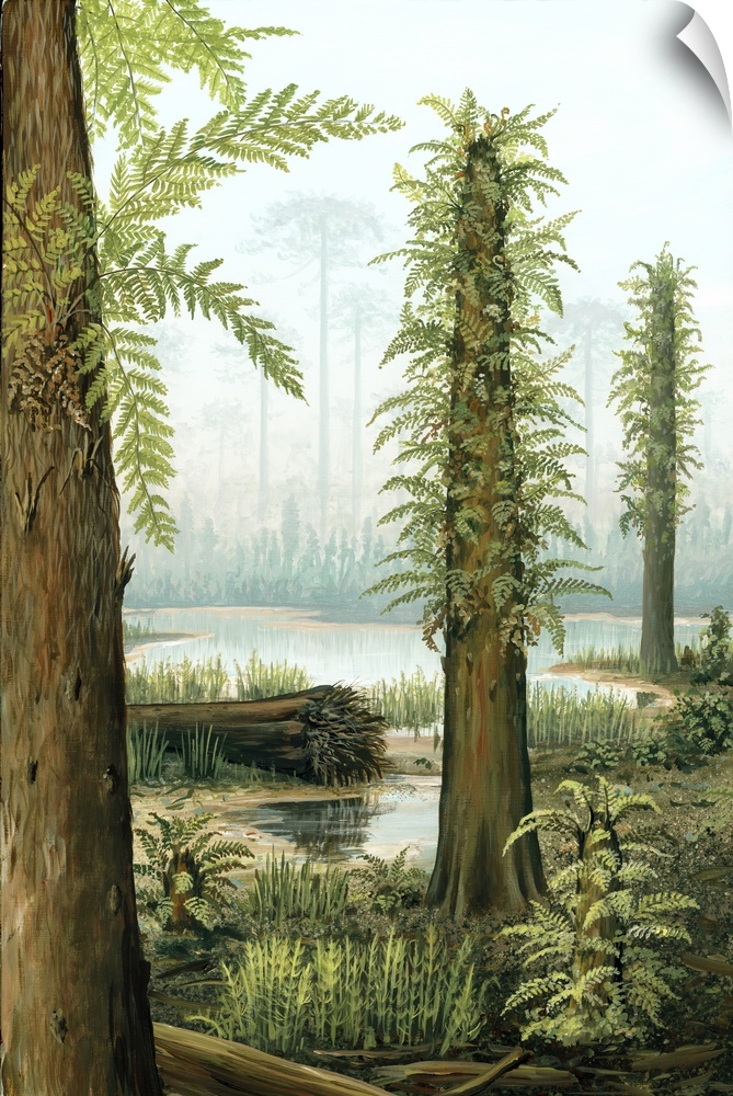 Cretaceous tree ferns. Artwork showing several Tempskya tree ferns, depicted in the Lower to Mid-Cretaceous Period. These ...