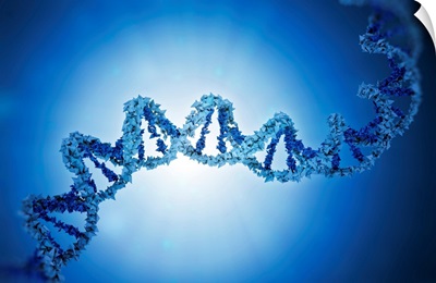 DNA, Illustration