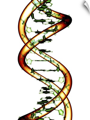 DNA molecule, conceptual artwork