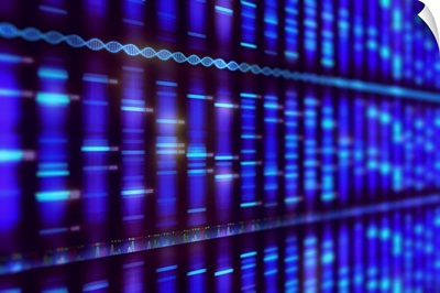 DNA Sequencing, Illustration