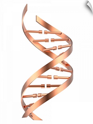 DNA Strand, Illustration