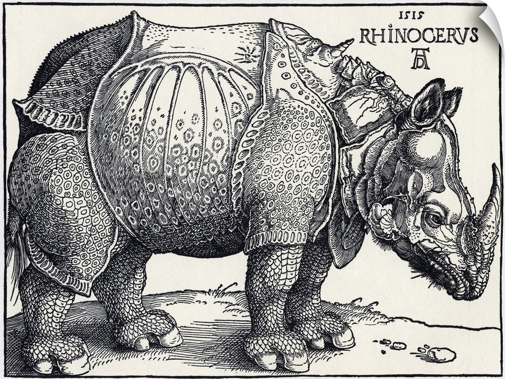 Durer's Rhinoceros, 1515. Albrecht Durer (1471- 1528) was a German artist. His skillful use of perspective and mathematica...