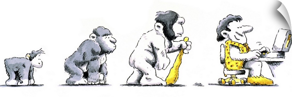 Evolution of man. Cartoon depicting man evolving from apes, through various stages, until reaching its pinnacle with a man...