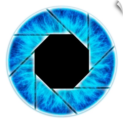 Eye, Iris With Camera Diaphragm, Illustration