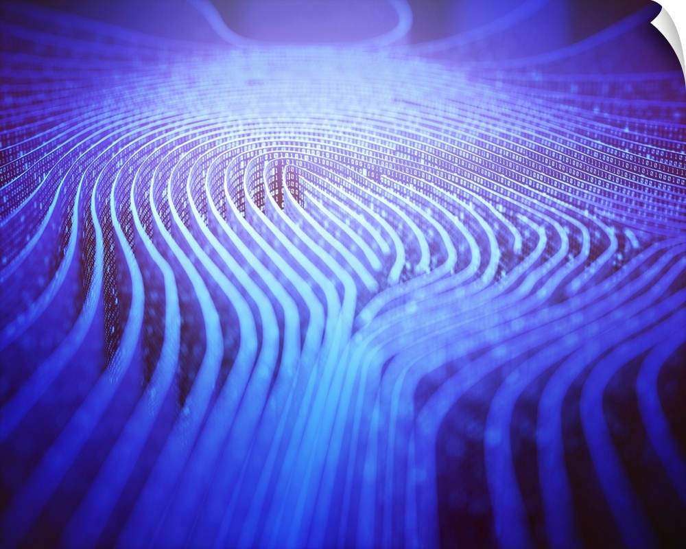 Fingerprint shape in binary code, illustration.