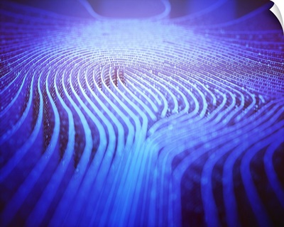 Fingerprint Shape In Binary Code, Illustration