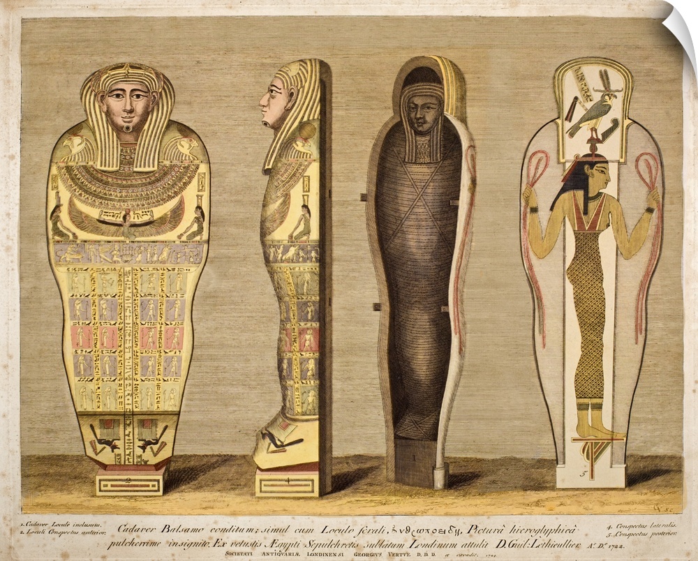 Hand coloured engraving by George Vertue 1724 for the London Society of Antiquaries. It shows the mummified body in carton...