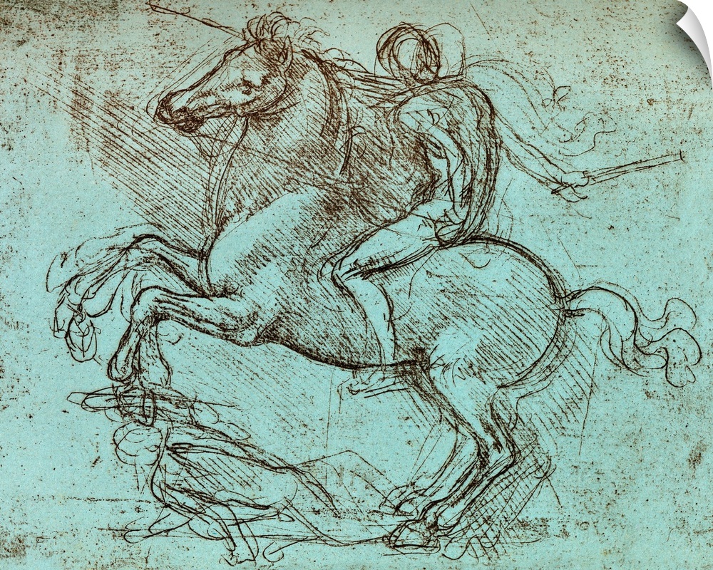 Franscsco Sforza, military leader. Historical artwork of a rider on a rearing horse by the Italian artist, engineer and sc...