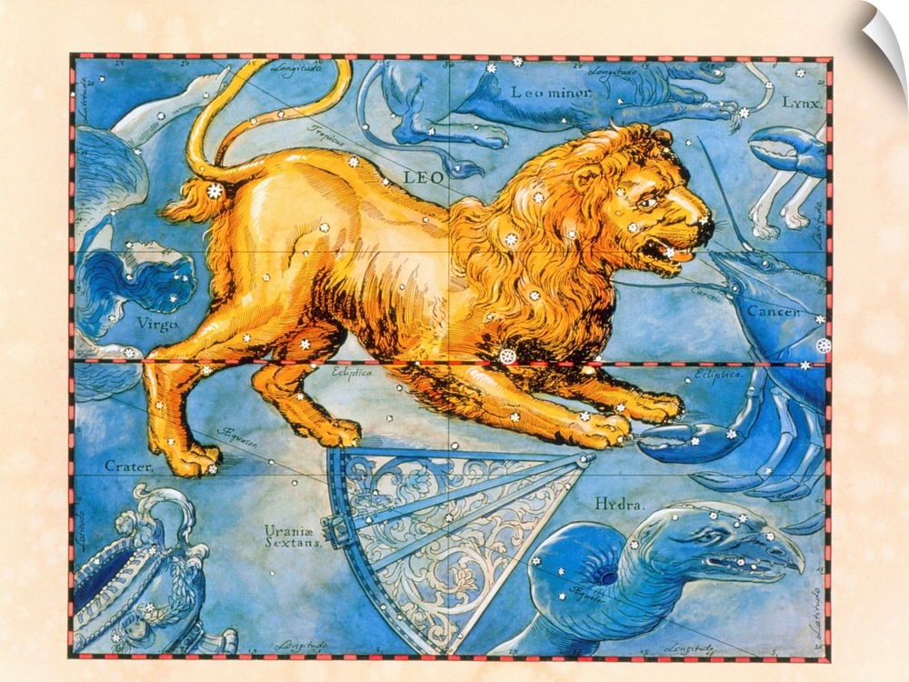 Leo. Coloured historical artwork of the constellation of Leo. The constellation is depicted as a lion. Leo is the fifth si...