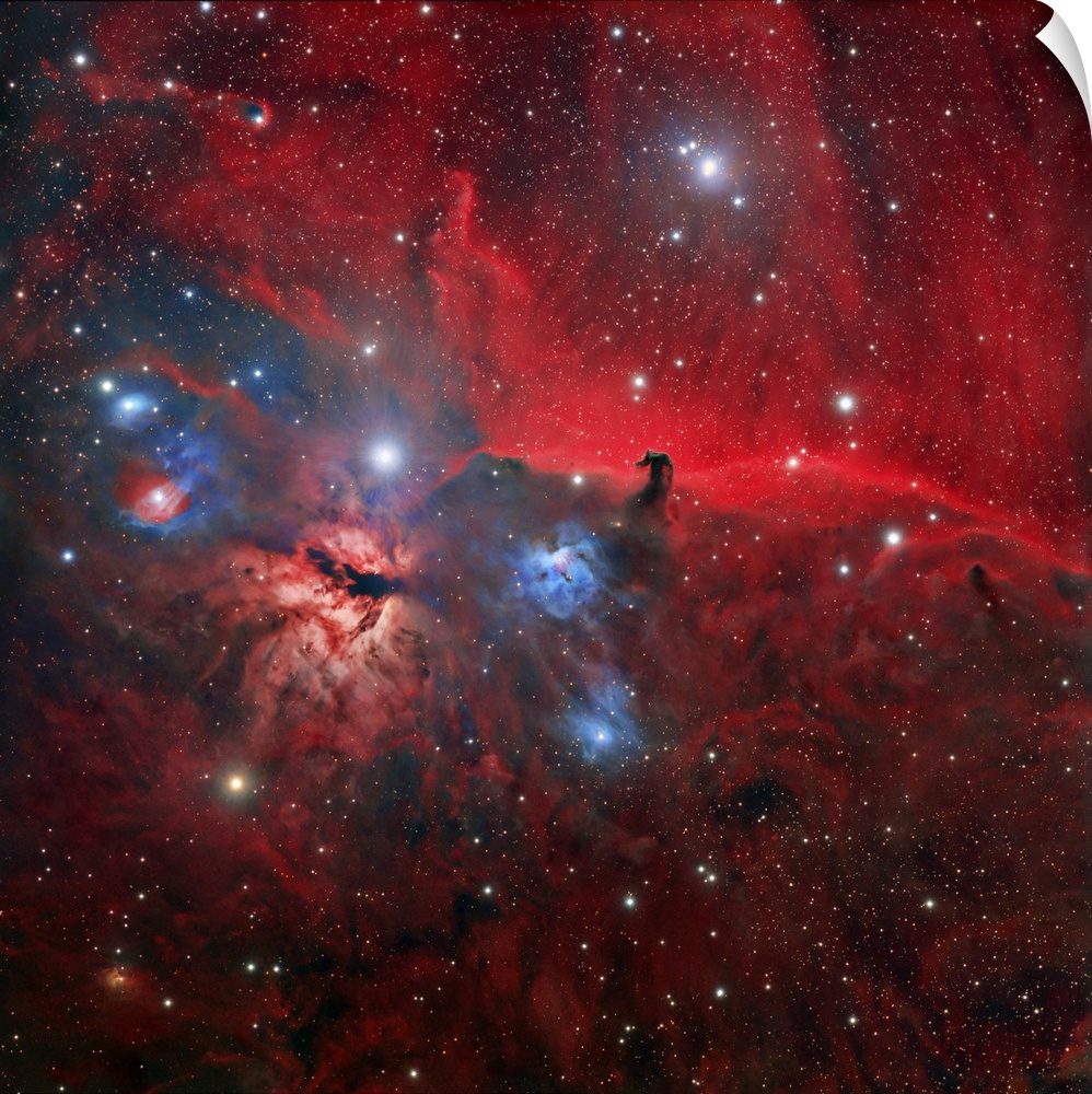 Horsehead and Flame nebulae. Optical image of part of the Orion nebula complex, an enormous starbirth region some 1500 lig...