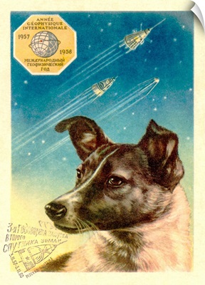 Laika the space dog postcard