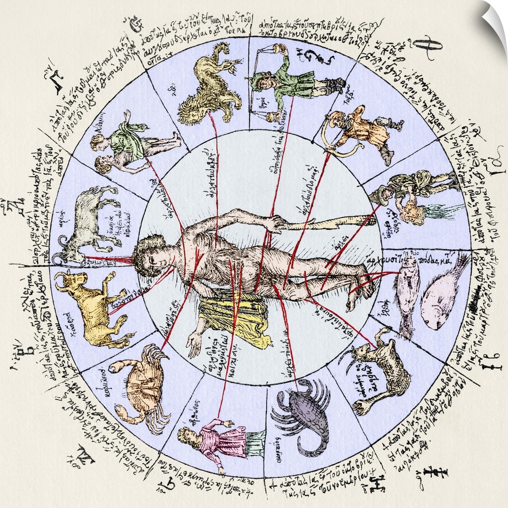 Medical zodiac. 15th century diagram with Greek text illustrating how the human body relates to the zodiac signs. Such inf...
