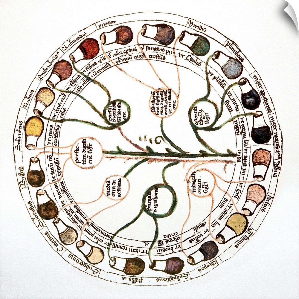 Medieval urine wheel. Labelled in Latin, this 15th century diagram shows some of the possible colours of urine (outer edge...