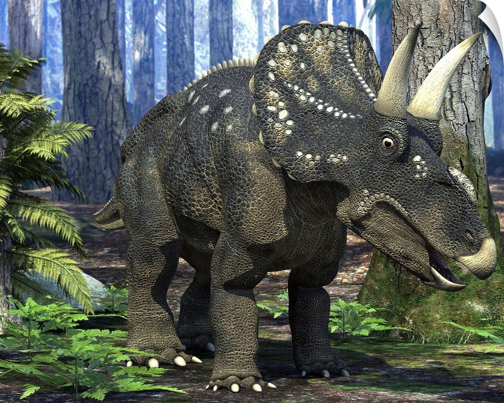 Nedoceratops dinosaur in a prehistoric forest, computer artwork. Formerly known as Diceratops, this horned dinosaur is kno...