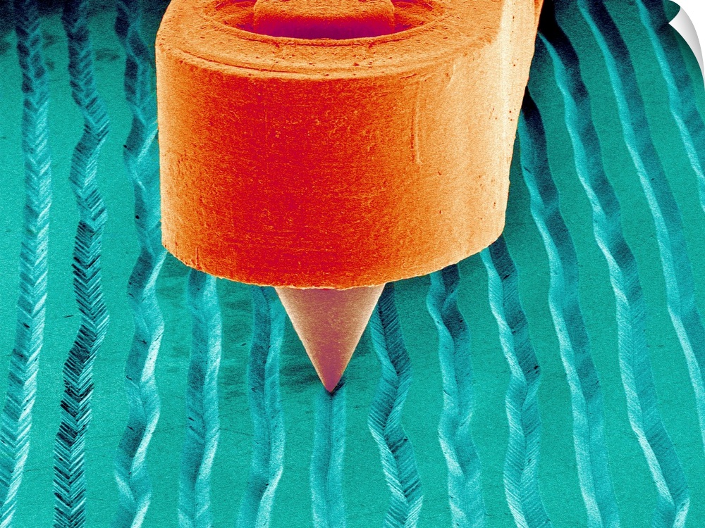 Needle playing a record. Coloured scanning electron micrograph (SEM) of the needle (stylus) of a record player in a groove...