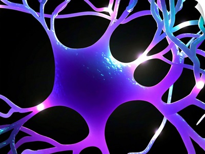 Nerve cell, artwork