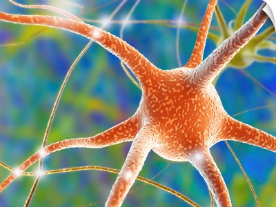 Nerve cell, computer artwork