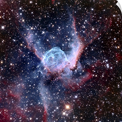NGC 2359 Nebular, Optical Image