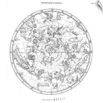 Northern celestial map