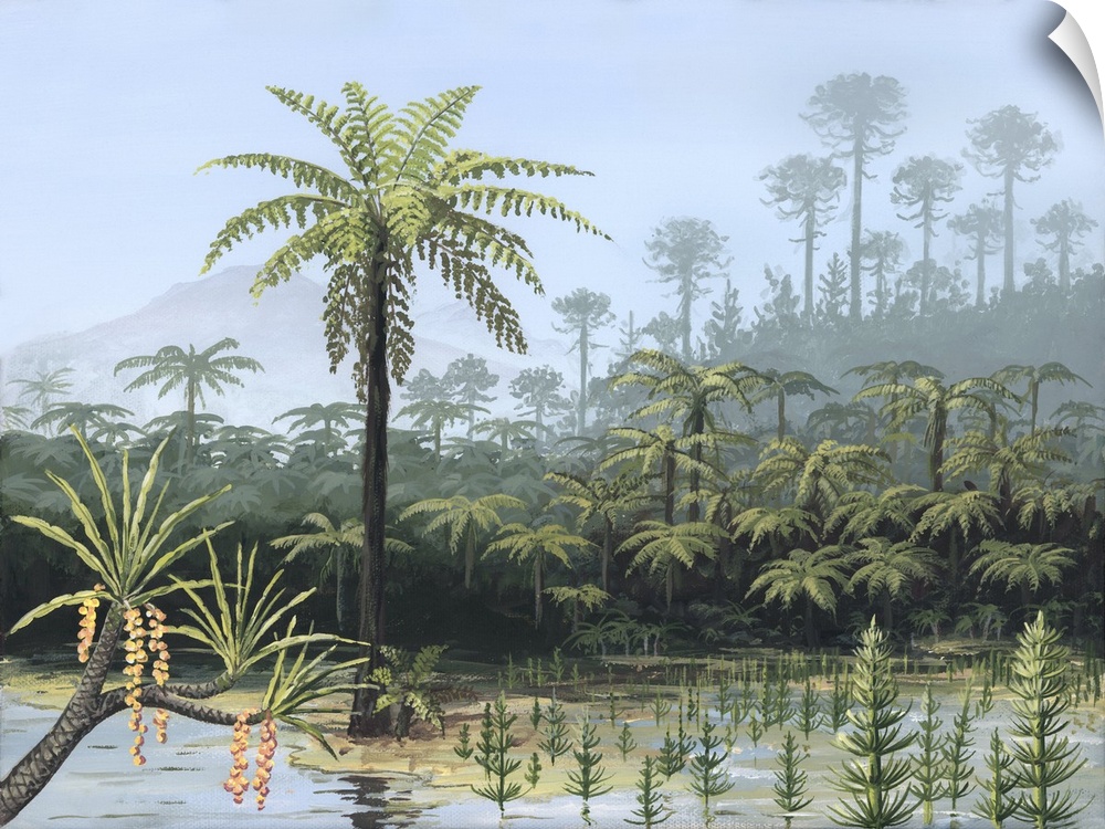 Prehistoric tree ferns. Artwork of tree ferns growing by a lake. Ferns like these were numerous during the Jurassic Period...