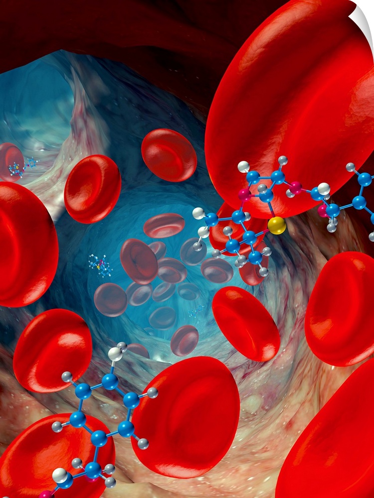 Red blood cells and drug molecules, computer artwork. Red blood cells (erythrocytes) are responsible for supplying tissues...