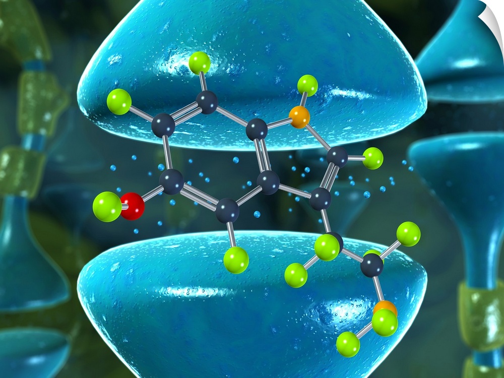 Serotonin molecule. Computer artwork of a molecule of serotonin (5-hydroxytryptamine, C10.H12.N2.O), with a nerve synpase ...