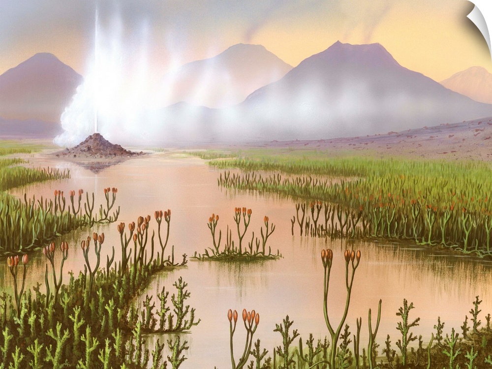 Silurian landscape. Artwork of wetland plants, geysers and volcanoes during the Silurian Period (440-360 million years ago...