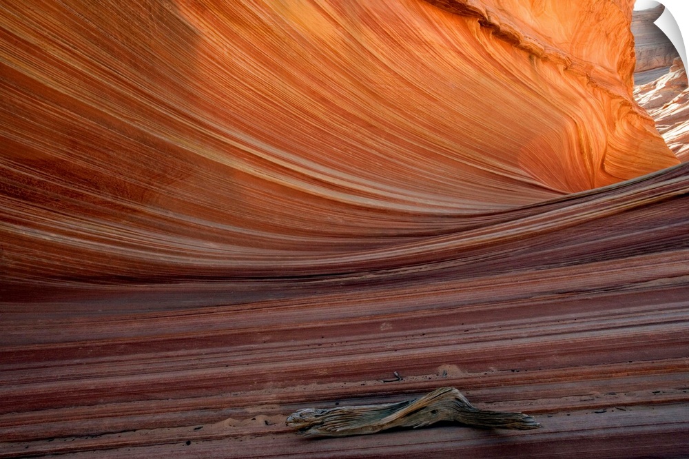The Wave rock formation, Paria-Vermillion Cliffs National Monument, Arizona, USA.