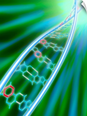 xDNA molecule
