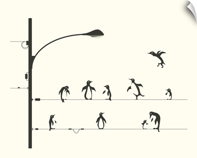 Penguins On A Wire