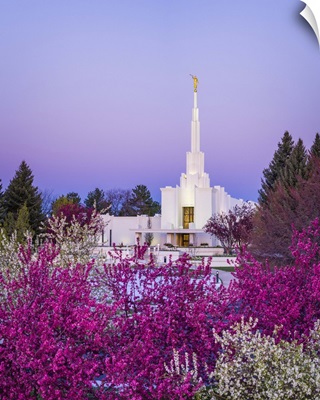 Denver Colorado Temple, Colorful Morning, Centennial, Colorado