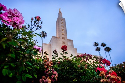 Los Angeles California Temple, Garden in Bloom, Los Angeles, California