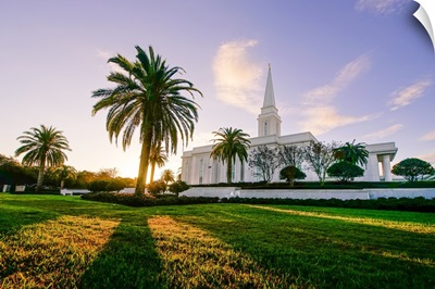 Orlando Florida Temple, Palm Tree at Sunrise, Windermere, Florida