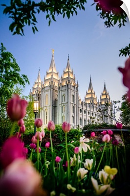 Salt Lake Temple with Tulips, Salt Lake City, Utah