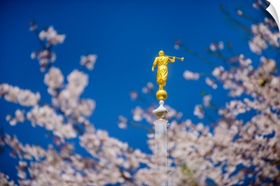 Tokyo Japan Temple, Blossoms and Moroni, Minato, Japan