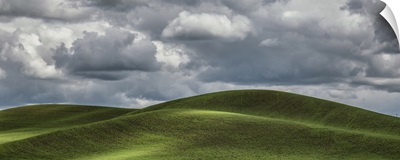 Beautiful clouds over the green wheatfields of the Palouse, WA