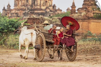 Burmese Monks On An Oxcart In Bagan, Myanmar