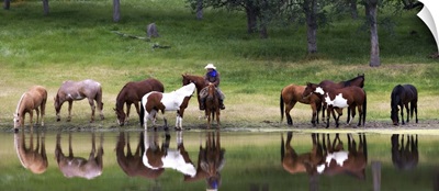 Cowboy and horses by a lake near Yosemite, California