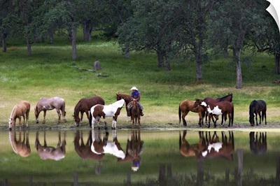 Cowboy and Western Horses by lake, near Yosemite, California