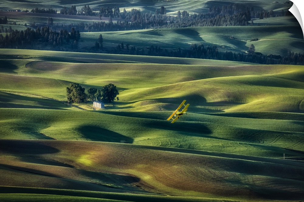 Crop duster flying over the rolling wheat fields of the Palouse
