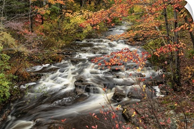 Flowing River And Fall Color In Acadia National Park