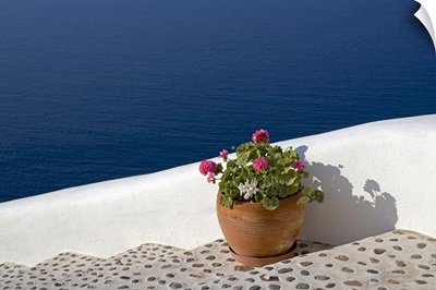 Greek Flowers over the sea