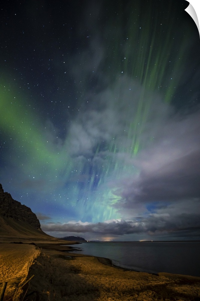 Aurora borealis above the coast in Iceland.
