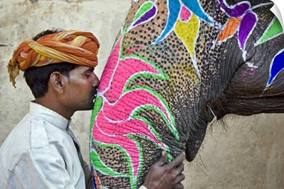 Indian Elephant with trainer, Jaipur, India