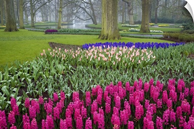 Keukenhof Gardens, Amsterdam, Netherlands