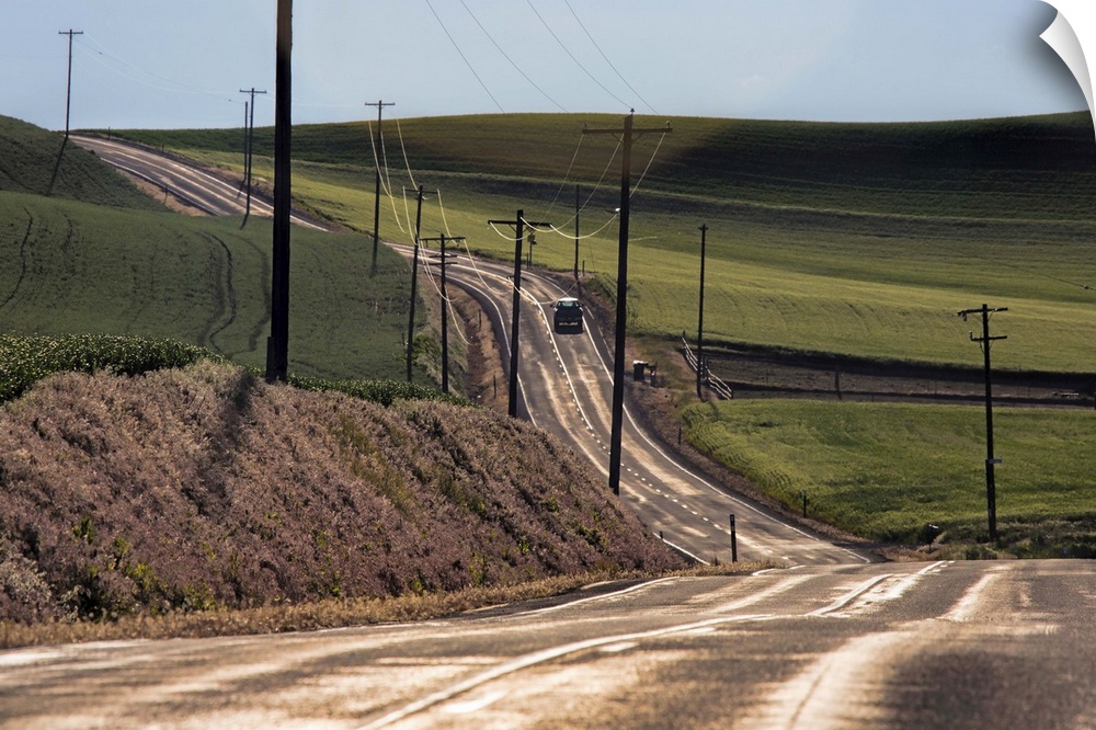 Long country road in the Palouse region of Washington State